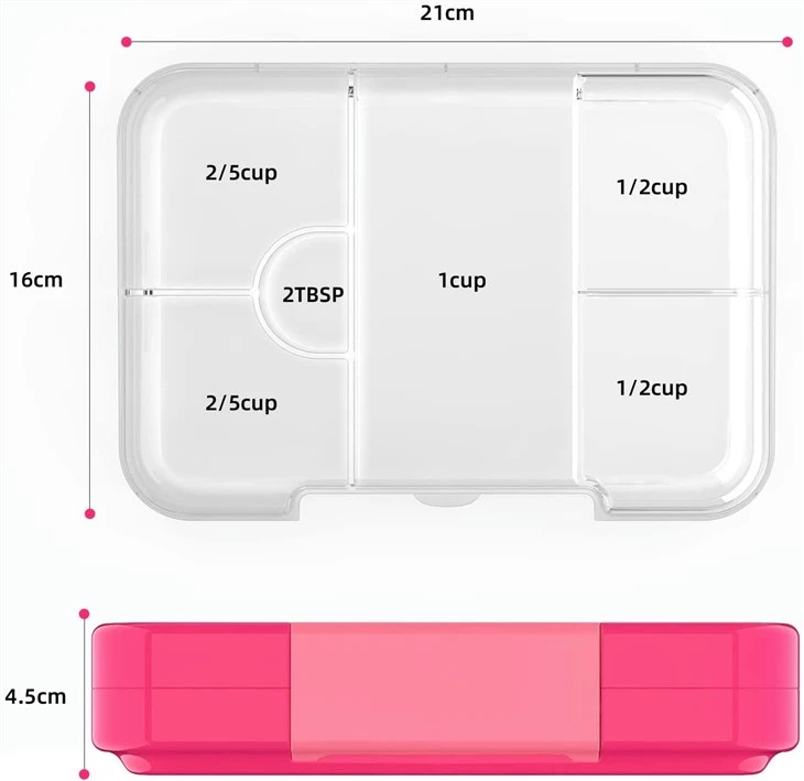 Salad Lunch Container