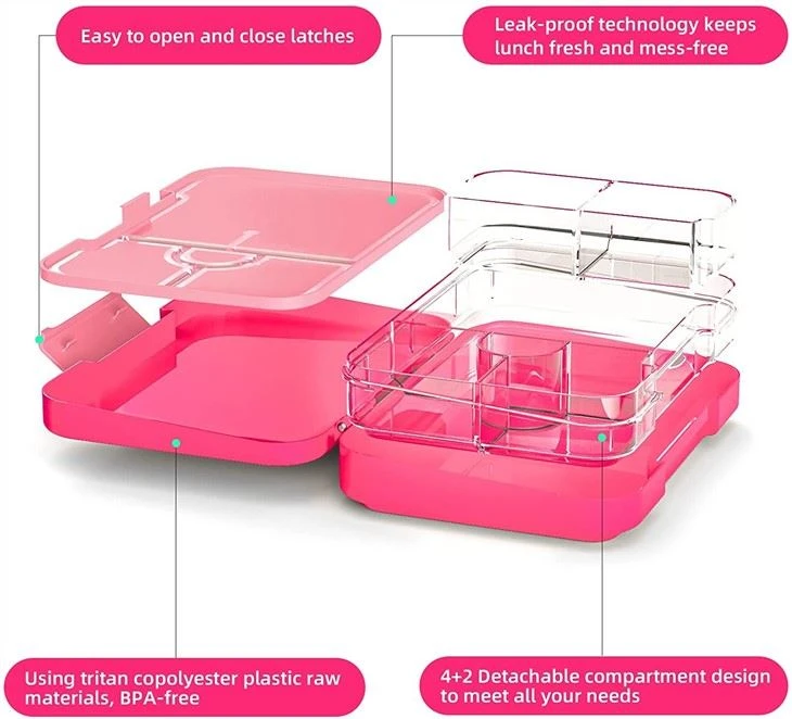 Salad Lunch Container