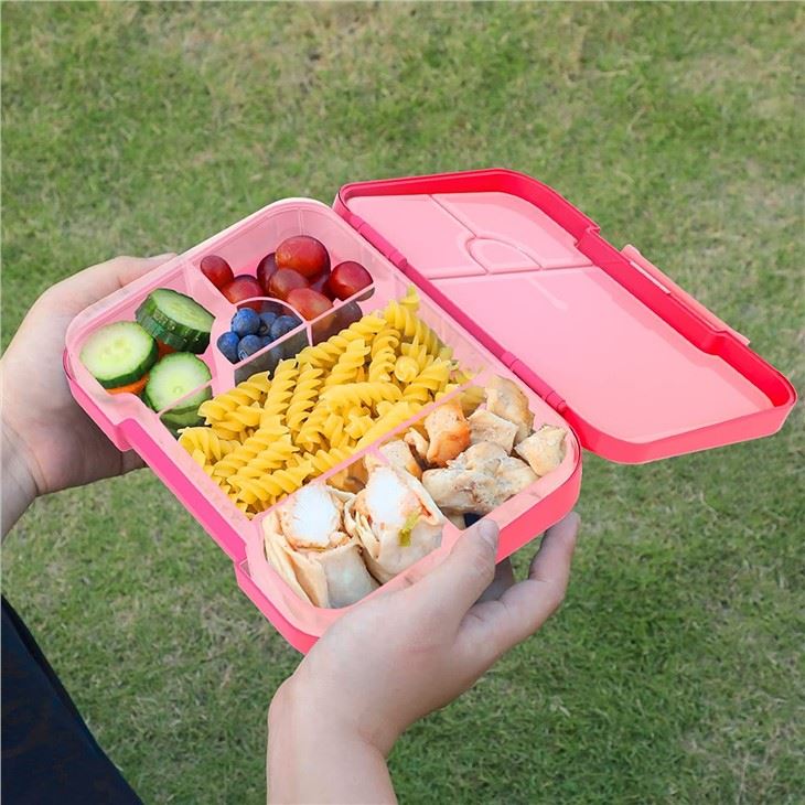Salad Lunch Container