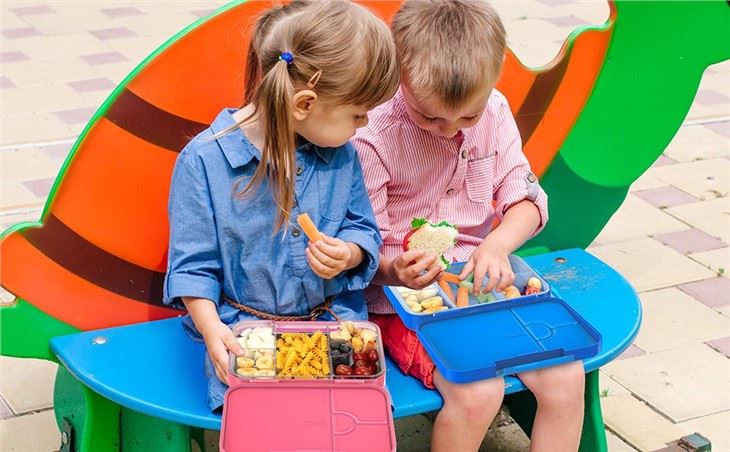 Salad Lunch Container